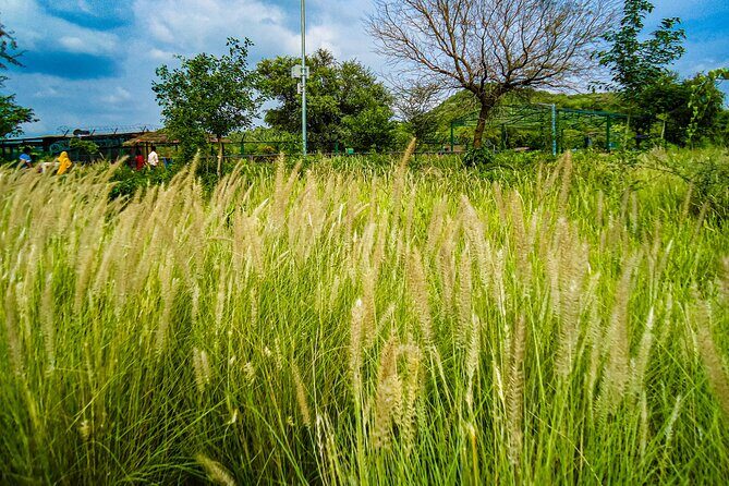 Uncover Hidden Treasures of Rural Life on a Village Tour - Jaipur to Jamwa Ramgarh: why this day trip feels like a reset