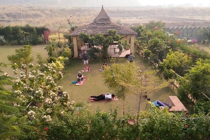 Yoga In Jaipur - Key Highlights at a Glance