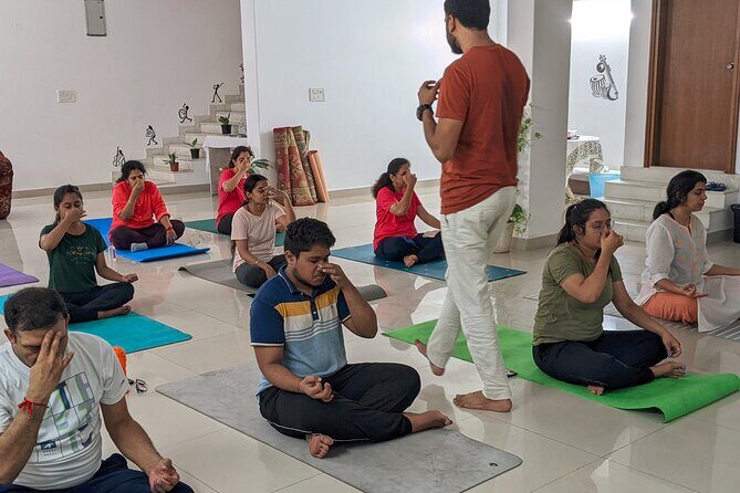 Yoga in Jaipur with Amit (Yogi on Travel) - Inside the 70-Minute Session: Postures, Breathing, and Meditation
